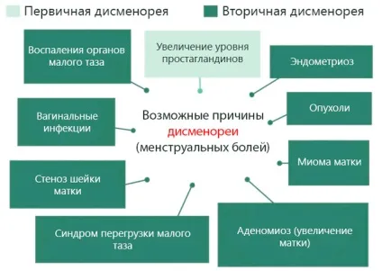 Рожеві виділення замість місячних рідкі як вода з кров'ю (рожеві) Рожеві виділення замість місячних рідкі як вода з кров'ю