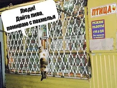 Чому не можна пити пиво (пити) Чому не можна пити пиво