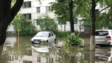 Чому знесли «поляну наречених»