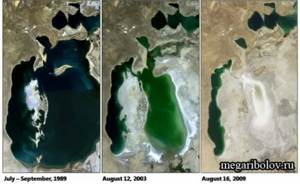 Чому висохло аральське море