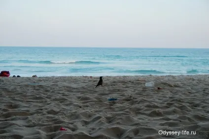 Чому люди люблять море (люди) Чому люди люблять море