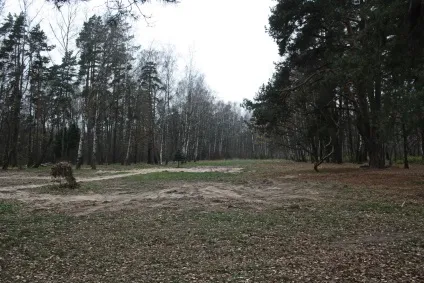 Чому знесли «поляну наречених»