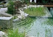 Садовий ставок, в якому можна купатися (ставок для купання) Садовий ставок, в якому можна купатися