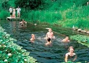 Садовий ставок, в якому можна купатися (плавальний ставок) Садовий ставок, в якому можна купатися