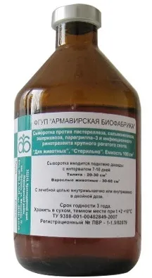 Сальмонельоз у собак симптоми і лікування