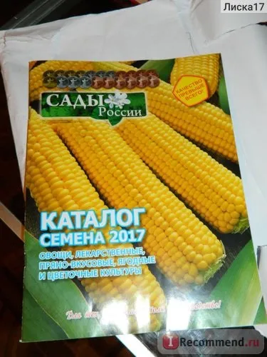 СадиУкаіни - «плюси сайту і продукції перекривають один його великий мінус (мінус) СадиУкаіни - «плюси сайту і продукції перекривають один його великий мінус