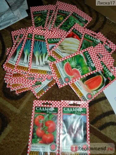 СадиУкаіни - «плюси сайту і продукції перекривають один його великий мінус (один) СадиУкаіни - «плюси сайту і продукції перекривають один його великий мінус