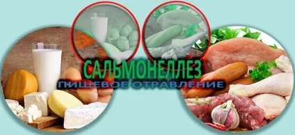 Сальмонельоз у кішок
