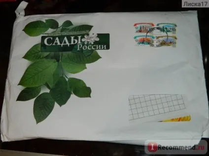 СадиУкаіни - «плюси сайту і продукції перекривають один його великий мінус (один) СадиУкаіни - «плюси сайту і продукції перекривають один його великий мінус