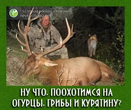 Салат мисливський з куркою, грибами і огірків - рецепт з фото крок за кроком
