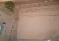 Цукрова чешуйніци в квартирі як позбутися і боротися (фото, відео) (чешуйніци) Цукрова чешуйніци в квартирі як позбутися і боротися (фото, відео)