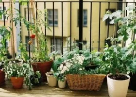 Сауна на балконі своїми руками
