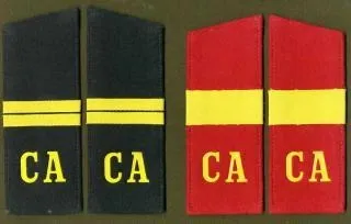 Са на погонах - що означає (солдат) Са на погонах - що означає