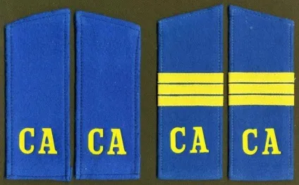 Са на погонах - що означає (військовослужбовці) Са на погонах - що означає