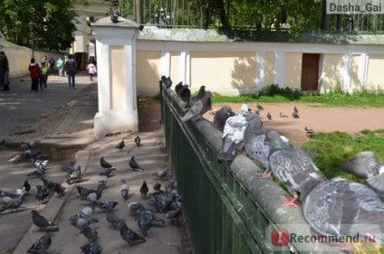 Санкт-Петербург (Росія) - «для тих хто мріє, але ніяк не зважитися відвідати Харків
