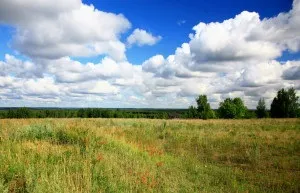 З чого почати вести фермерське господарство (фермерське) З чого почати вести фермерське господарство