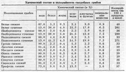 Їстівні гриби - фото і назва, види, опис (їстівні) Їстівні гриби - фото і назва, види, опис