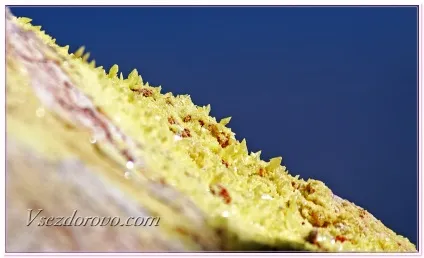 сірка осаджена
