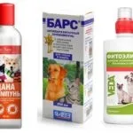 Шампунь від бліх для собак - відгуки та поради щодо застосування (відгуки) Шампунь від бліх для собак - відгуки та поради щодо застосування