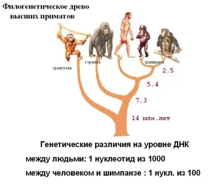 Шосте відчуття