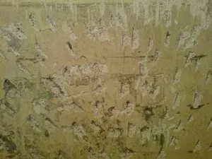 Штукатурка стін своїми руками технологія і техніка нанесення розчину на стіни (руками) Штукатурка стін своїми руками технологія і техніка нанесення розчину на стіни