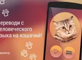 Завантажити гру перекладач котячий (скачати) Завантажити гру перекладач котячий