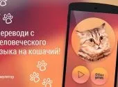Завантажити гру перекладач котячий (скачати перекладач котячий. Симулятор на андроїд) Завантажити гру перекладач котячий
