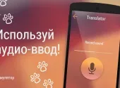 Завантажити гру перекладач котячий (скачати) Завантажити гру перекладач котячий