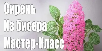 Бузок з бісеру майстер-клас, відео, покрокове фото (майстер-клас) Бузок з бісеру майстер-клас, відео, покрокове фото