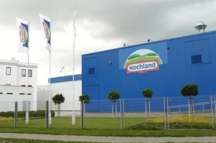 Сир хохланд (hohland) види, склад, виробник, відгуки (сир хохланд сирний сир хохланд сир плавлений хохланд) Сир хохланд (hohland) види, склад, виробник, відгуки
