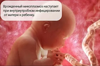 Симптоми уретриту ознаки і діагностика захворювання (діагностика) Симптоми уретриту ознаки і діагностика захворювання