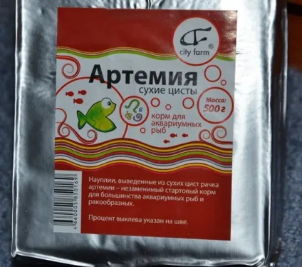 Синодонтис ангел, плямистий сом