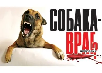 Собака - ворог людини, український базар, russian bazaar newspaper in new york (brooklyn, queens, (людини) Собака - ворог людини, український базар, russian bazaar newspaper in new york (brooklyn, queens,