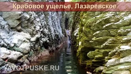 Зняти житло в Лазаревському без посередників (Лазаревському) Зняти житло в Лазаревському без посередників