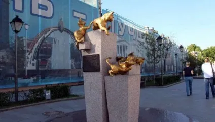 Сквер сибірських кішок, присвячений кошкам- рятівниця (кішок) Сквер сибірських кішок, присвячений кошкам- рятівниці