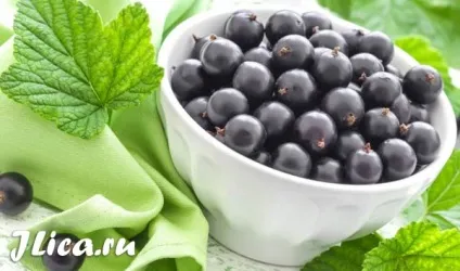 Смородина для особи 9 домашніх рецептів та відгуки (домашніх) Смородина для особи 9 домашніх рецептів та відгуки
