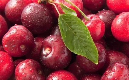 Смертельні дози для людини звичайнісіньких продуктів - topus - все найцікавіше в інтернеті (можуть стати причиною) Смертельні дози для людини звичайнісіньких продуктів - topus - все найцікавіше в інтернеті