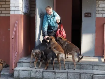 собаче діло