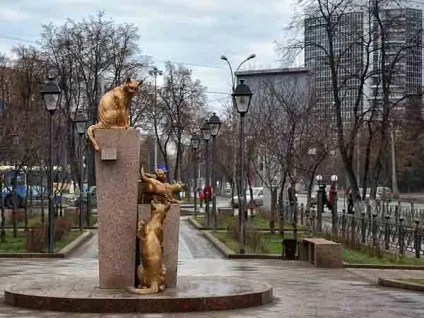 Сквер сибірських кішок в Тюмені на фото і карті