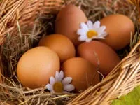 Сонячні опіки у дітей перша допомога, кошти для лікування і полегшення болю (дитячий крем, 1 (дітей) Сонячні опіки у дітей перша допомога, кошти для лікування і полегшення болю (дитячий крем, 1