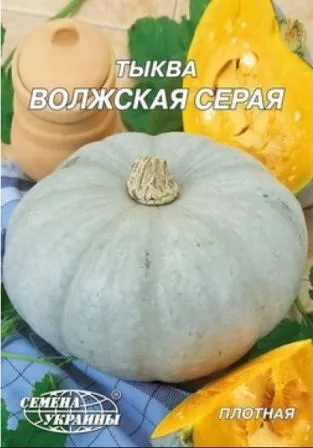 Сорти гарбуза з фото і описом - фермер без клопоту (сорти) Сорти гарбуза з фото і описом - фермер без клопоту