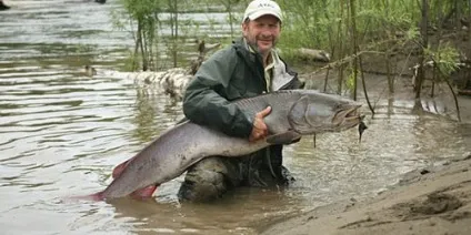 Сонник стояти у воді до чого сниться стояти у воді уві сні (сниться) Сонник стояти у воді до чого сниться стояти у воді уві сні