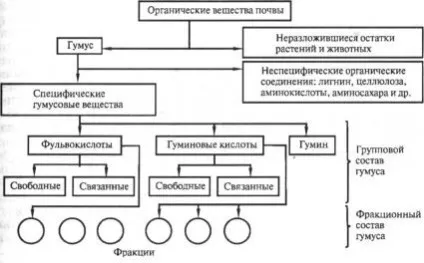 склад гумусу