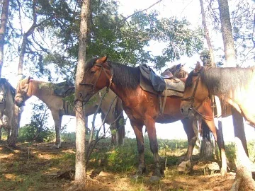 Сплав по річці на катамаранах