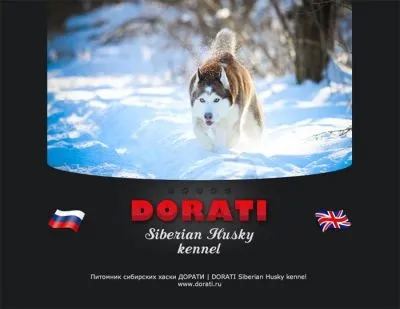 Створення сайтів для розплідників, для тварин, для кішок і собак (сайтів) Створення сайтів для розплідників, для тварин, для кішок і собак