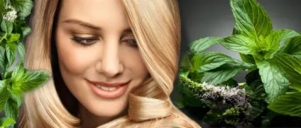 Спреї для росту волосся - генеролон, пантенол, platinus, shevelux і інші склади, короткий огляд, (зростання) Спреї для росту волосся - генеролон, пантенол, platinus, shevelux і інші склади, короткий огляд,