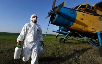 Способи боротьби з сараною (сарана розміри) Способи боротьби з сараною