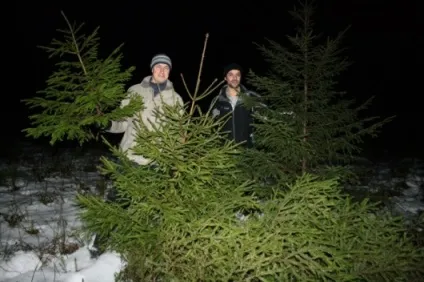 Спецрепортаж як легально зрубати ялинку в лісі, подарувавши свято собі та дітям - інформаційне (свіжі новини) Спецрепортаж як легально зрубати ялинку в лісі, подарувавши свято собі та дітям - інформаційне
