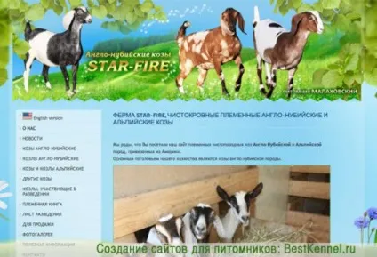 Створення сайтів для розплідників, для тварин, для кішок і собак (створення сайтів для розплідників кішок і собак) Створення сайтів для розплідників, для тварин, для кішок і собак