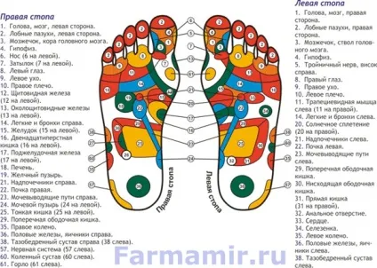 Сучасні масажери для ніг, види, відмінності, користь